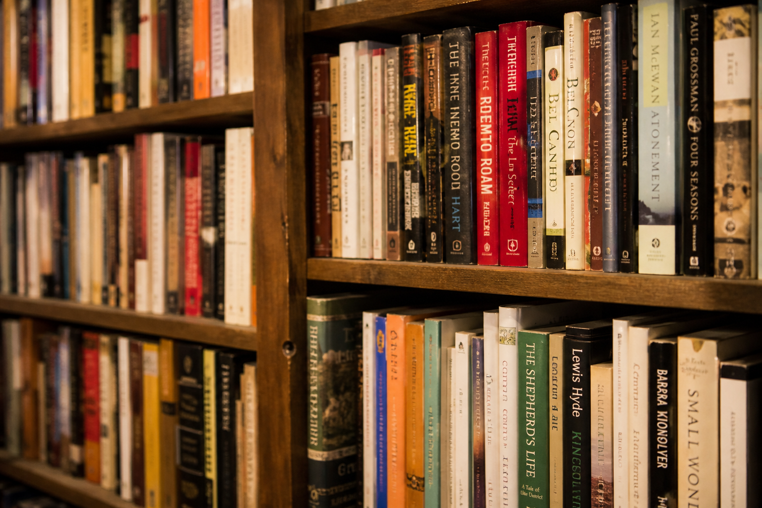 Close view of wooden shelves filled with books